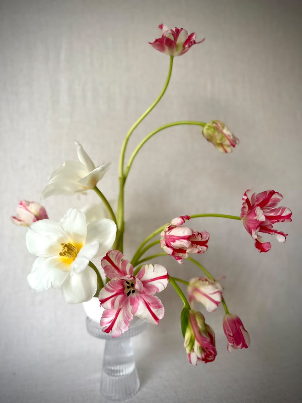 Copper roses with frilled bicolour carnations and asparagus fern