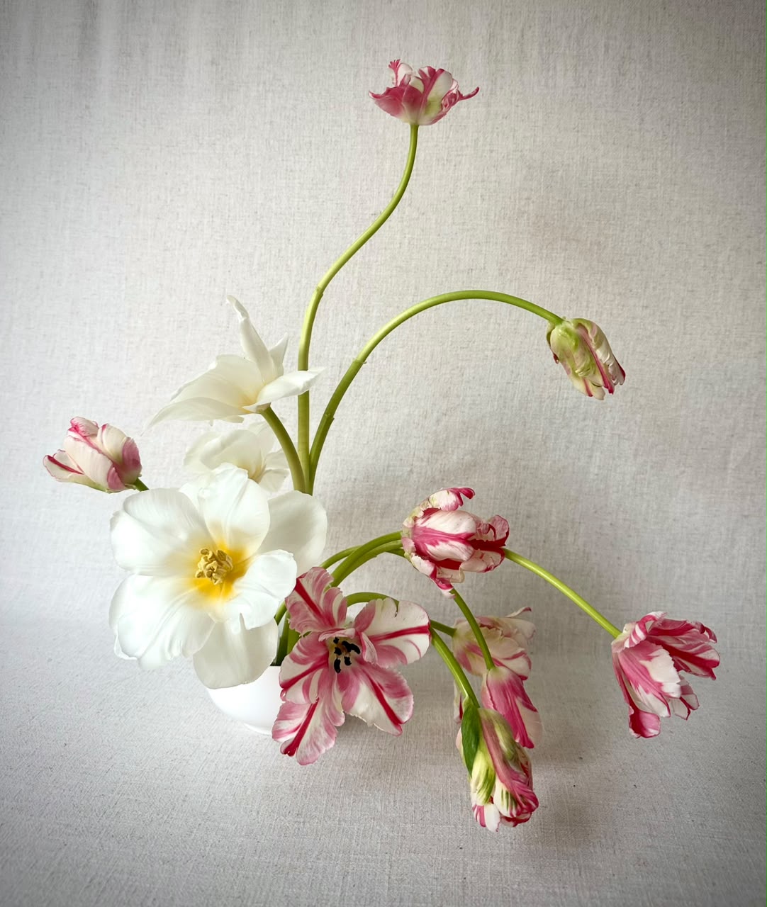 Peach garden roses, white tulips and fuchsia roses in a white compote with ferns