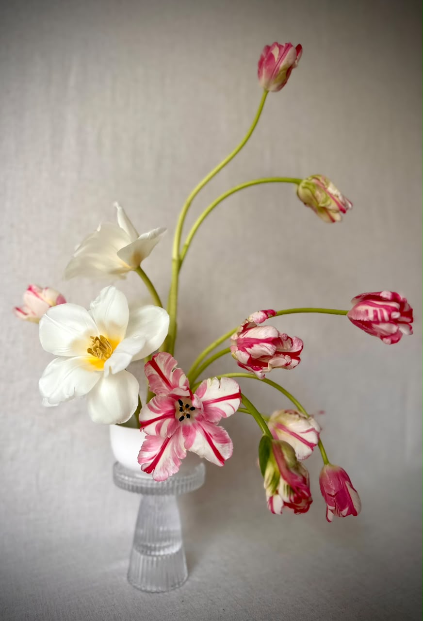 Peach garden roses, white tulips and soft asparagus fern in a white vessel